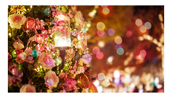 プレゼントムービー　ルージュ